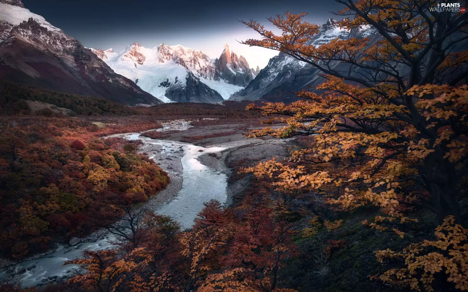 Cerro Torre, Mountains, trees, Los Glaciares National Park, autumn, Argentina, Patagonia, mount, Andy, River, viewes