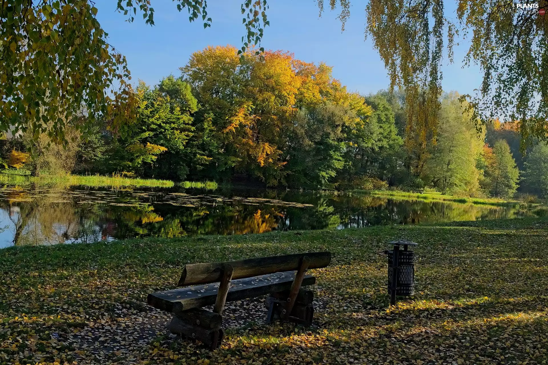 Park, trees, Leaf, viewes, fallen, Bench, Pond - car, autumn