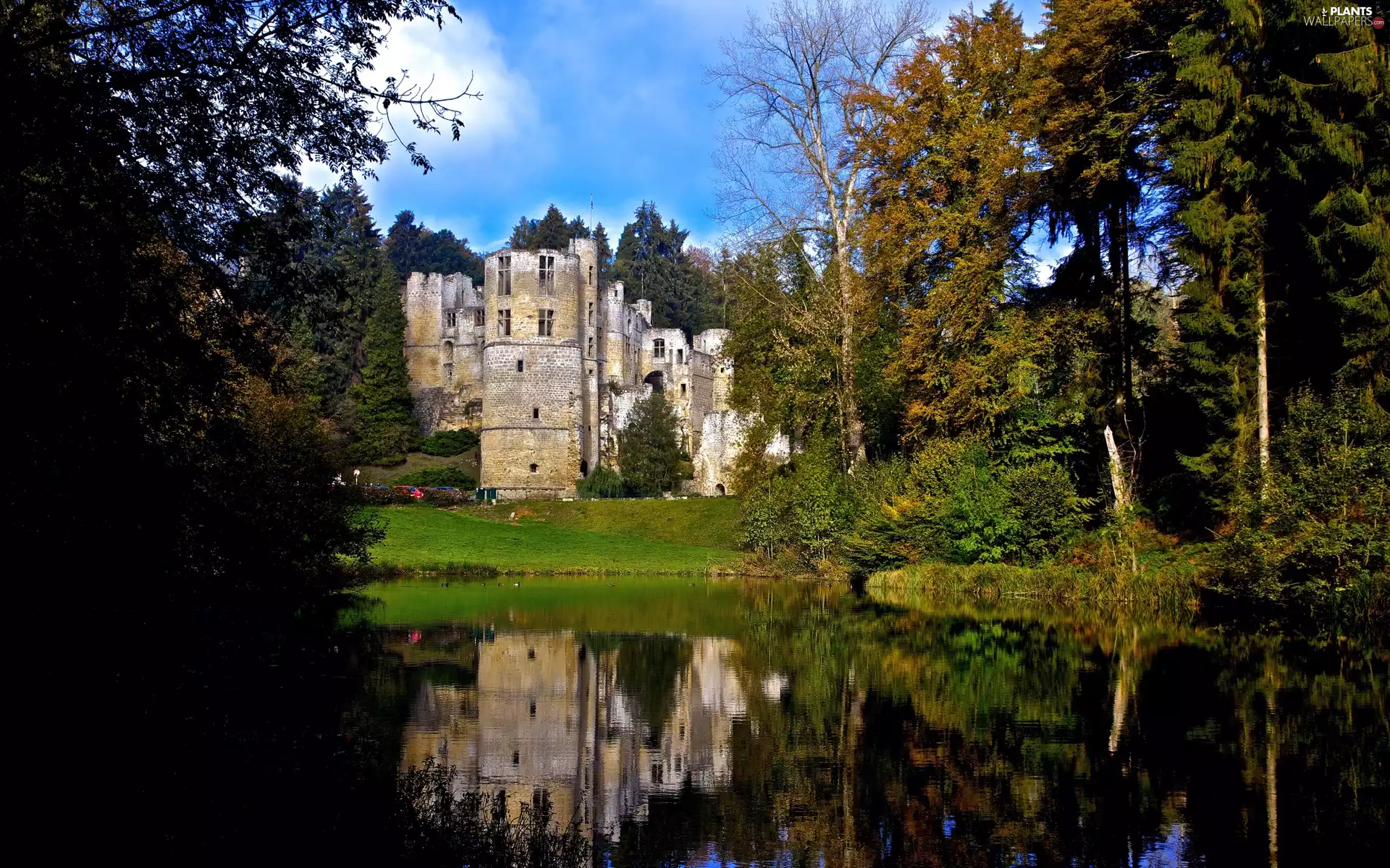 Park, Beaufort Castle, trees, Luxembourg, Castle in Beaufort, River, viewes