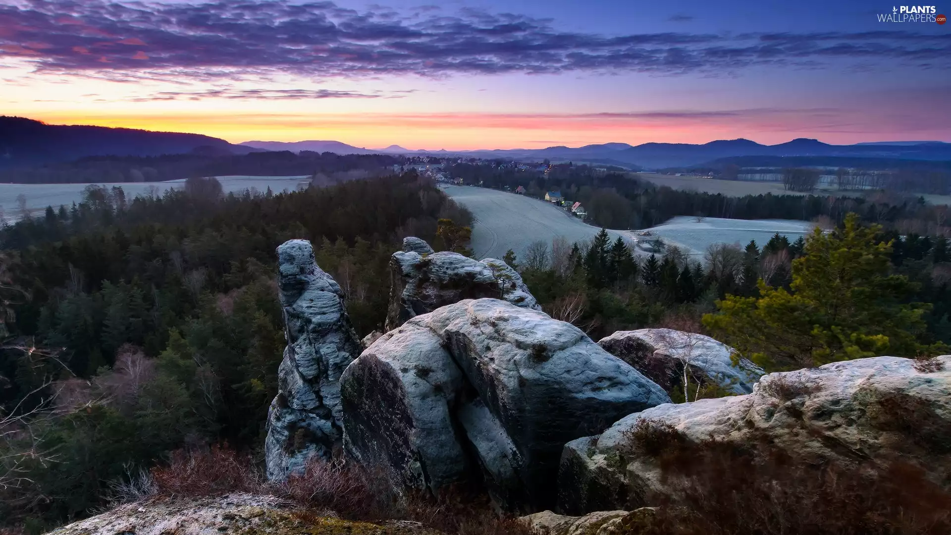 trees, Děčínská vrchovina, Saxon Switzerland National Park, rocks, Sunrise, viewes, Germany
