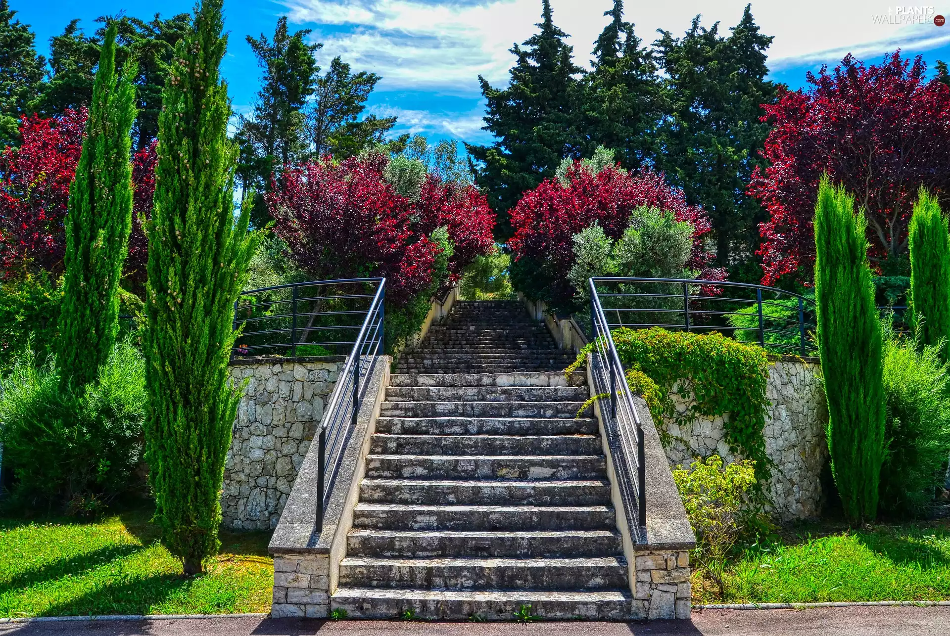 Stairs, trees, viewes, Park