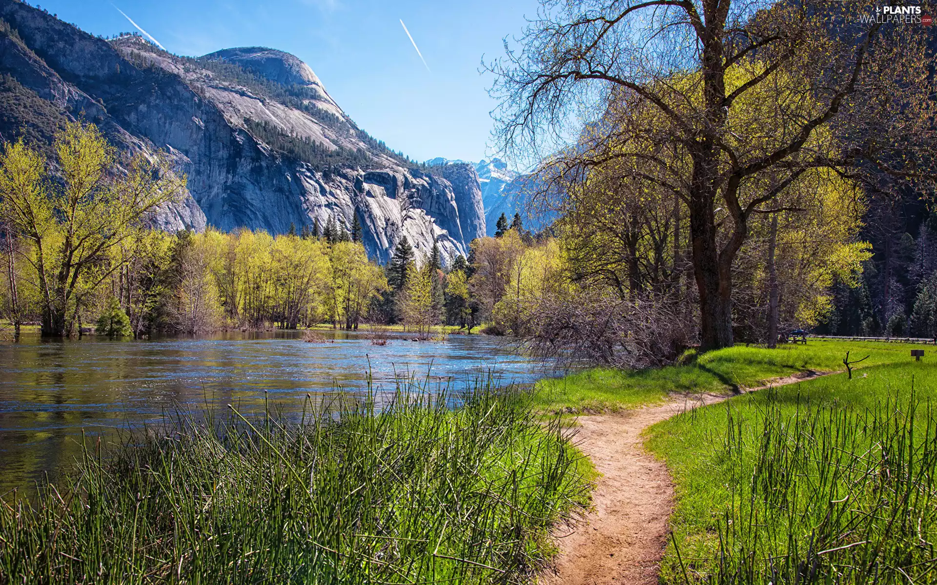 Spring, Mountains, viewes, California, Path, Yosemite National Park, trees, The United States, Merced River, grass