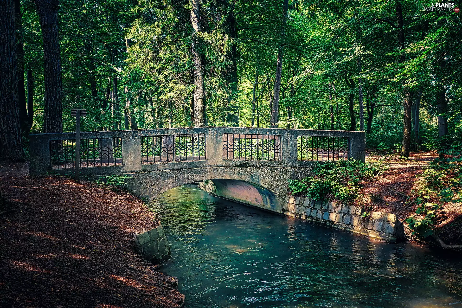 bridge, River, viewes, Park, trees, stone