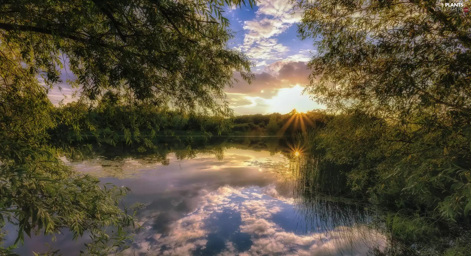 Park, lake, Great Sunsets, forest, viewes, Stupino, Russia, trees