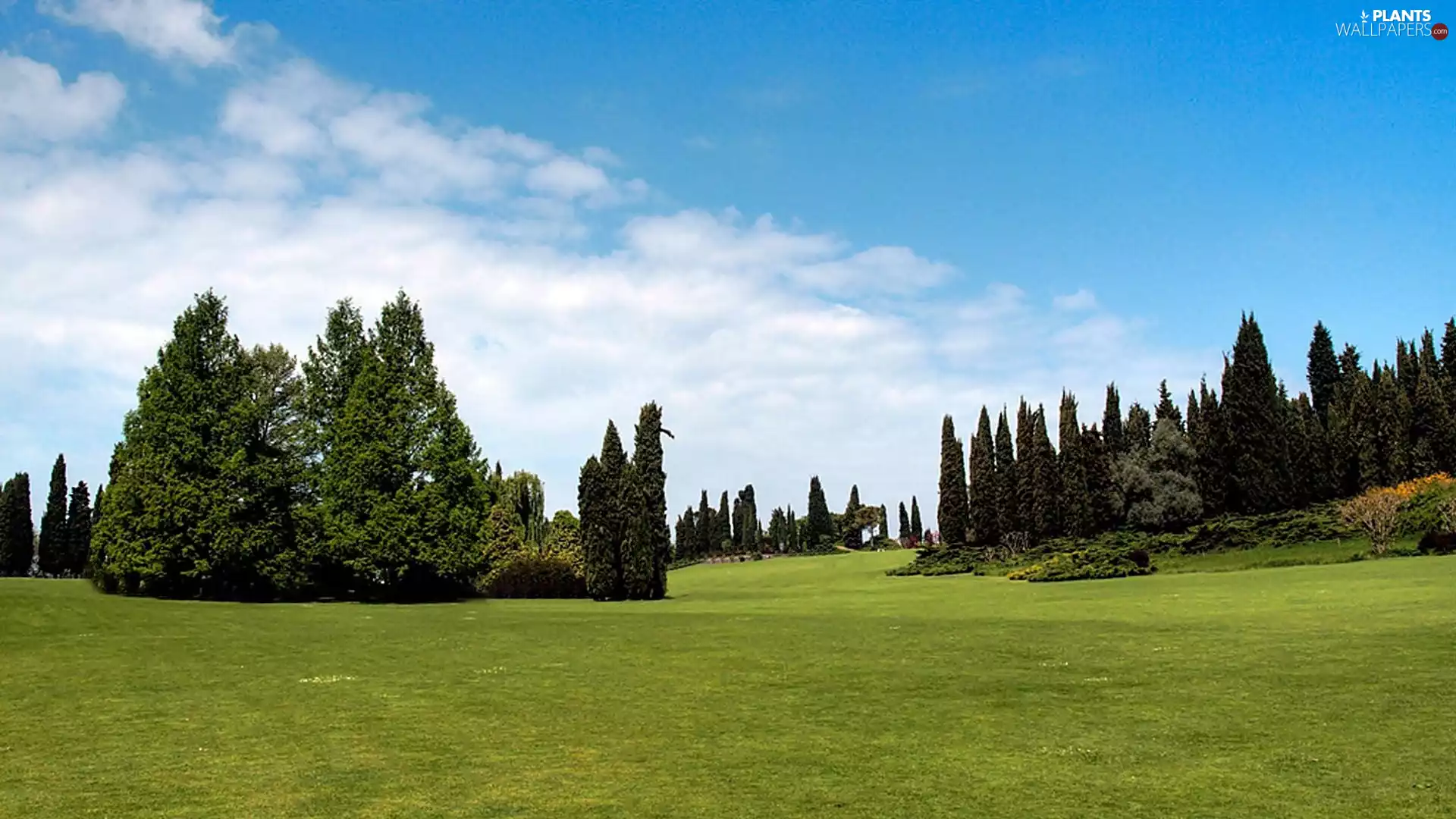 summer, Lawn, clouds, Park