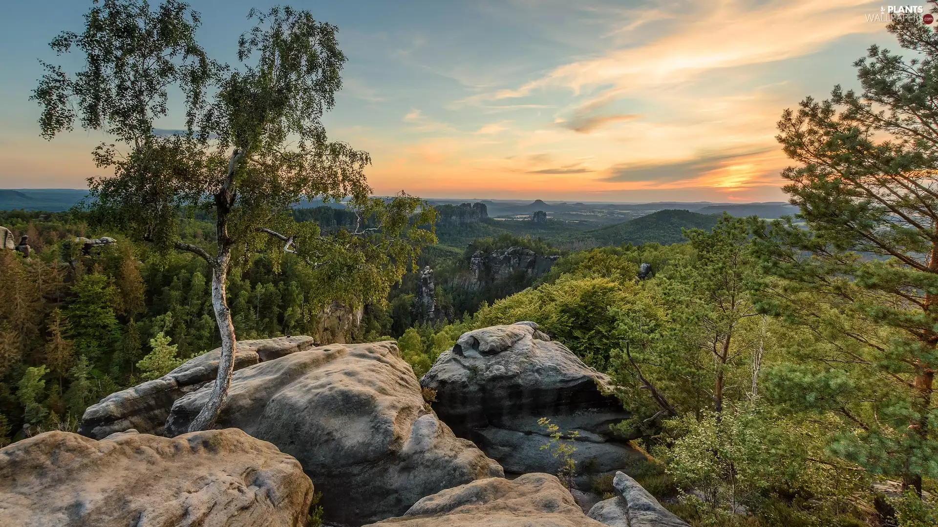 rocks, trees, Germany, birch-tree, Saxon Switzerland National Park, Děčínská vrchovina, Great Sunsets, scrub