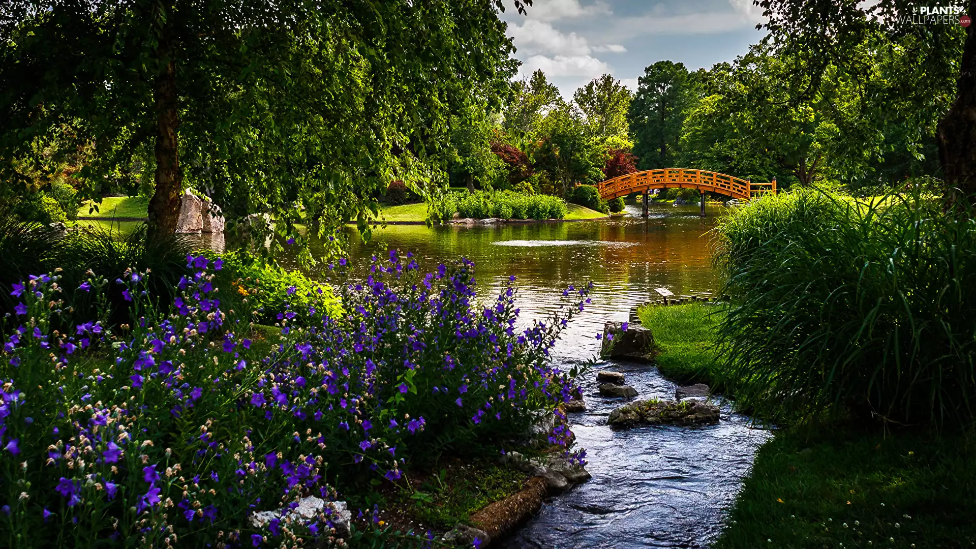 bridge, Garden, trees, Stones, Bush, ringtones, Flowers, Pond - car, Park, grass, viewes