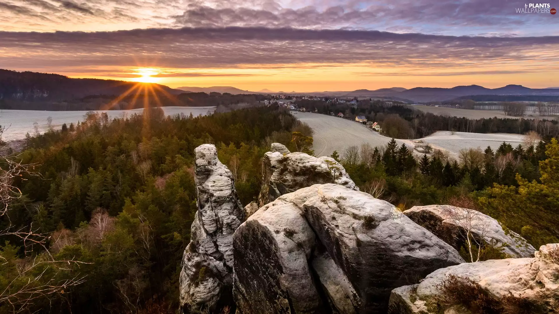 viewes, Děčínská vrchovina, Saxon Switzerland National Park, trees, rocks, sun, Germany