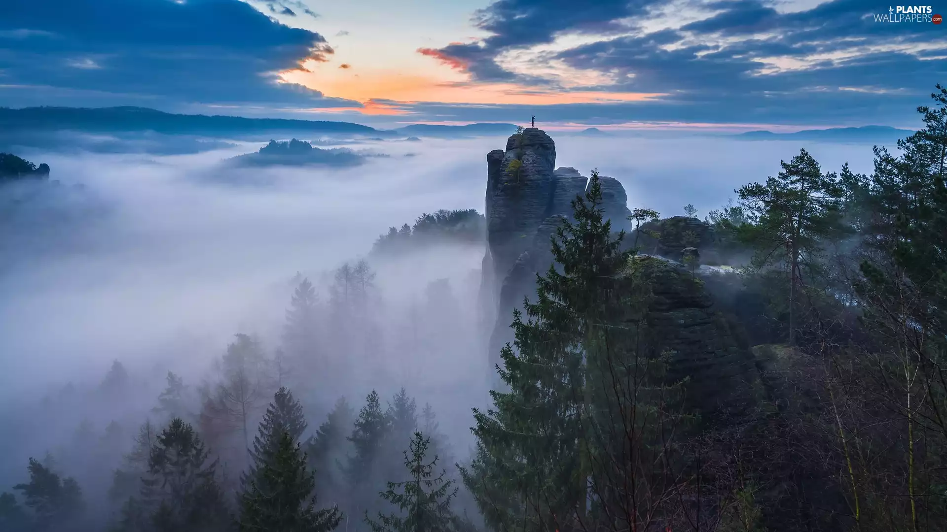 Sunrise, Děčínská vrchovina, viewes, rocks, trees, Saxon Switzerland National Park, Germany, Fog