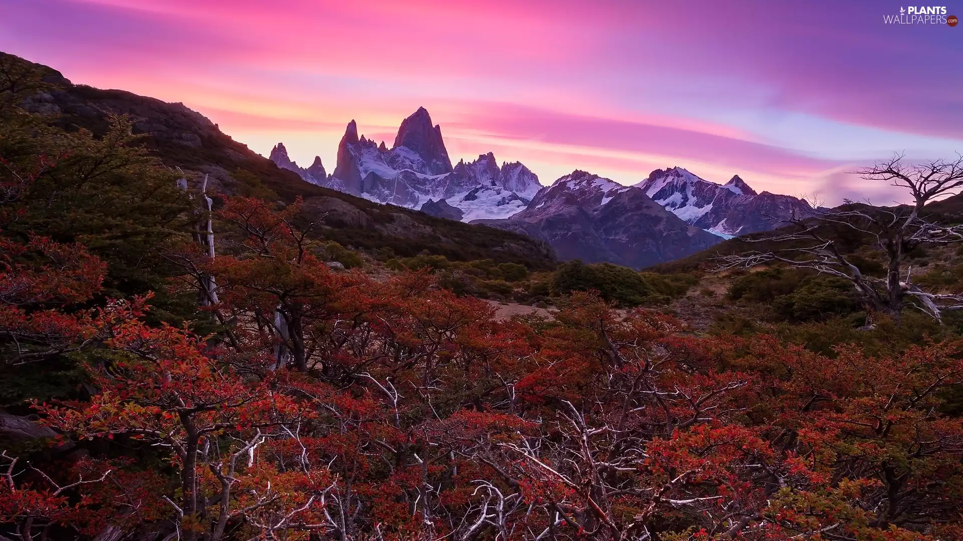 Fitz Roy Mountain, Mountains, color, Sky, Patagonia, Argentina, Red, Bush, autumn