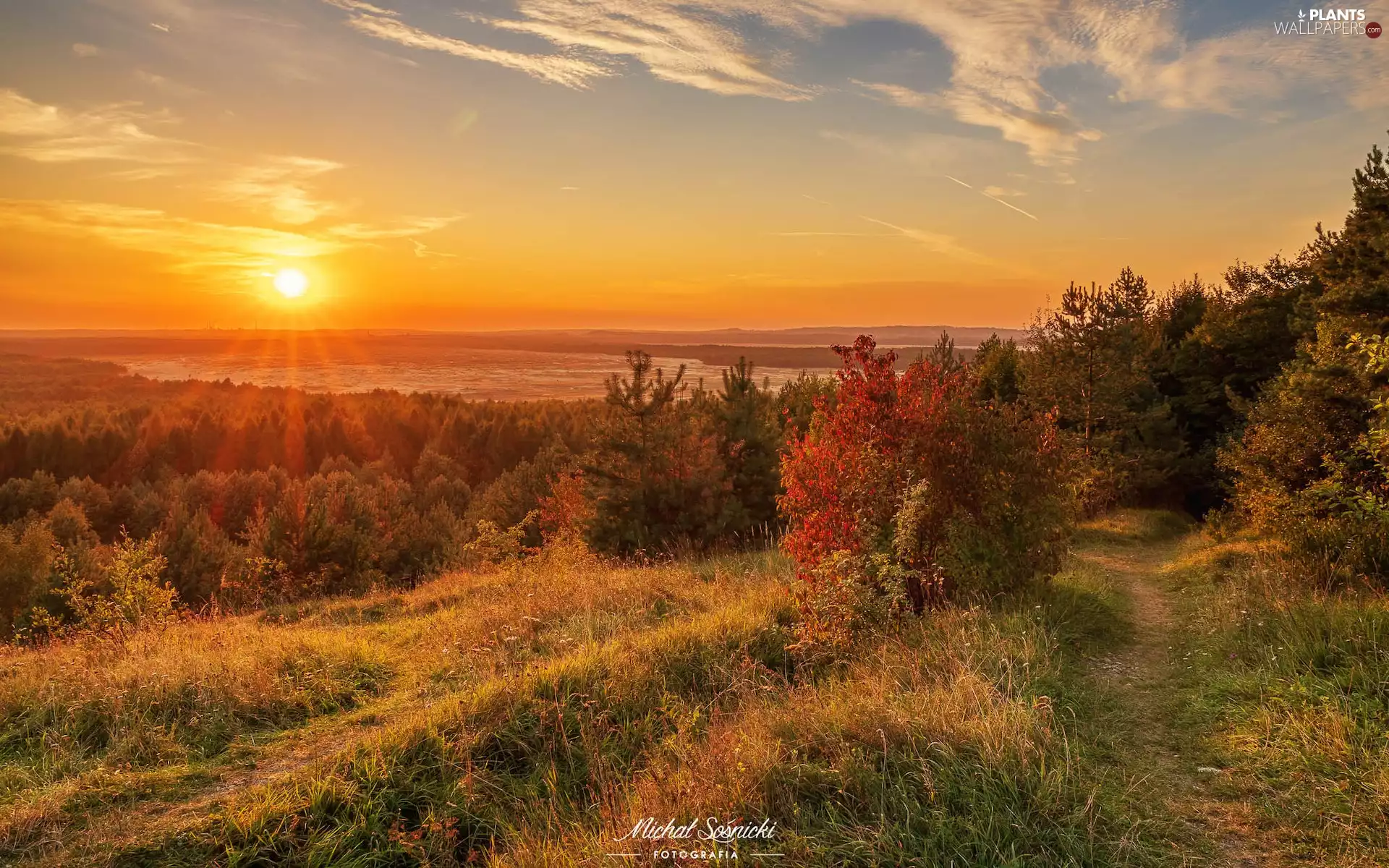 Bledowska Desert, Poland, Hill, Crested, viewes, Path, Great Sunsets, trees, Meadow