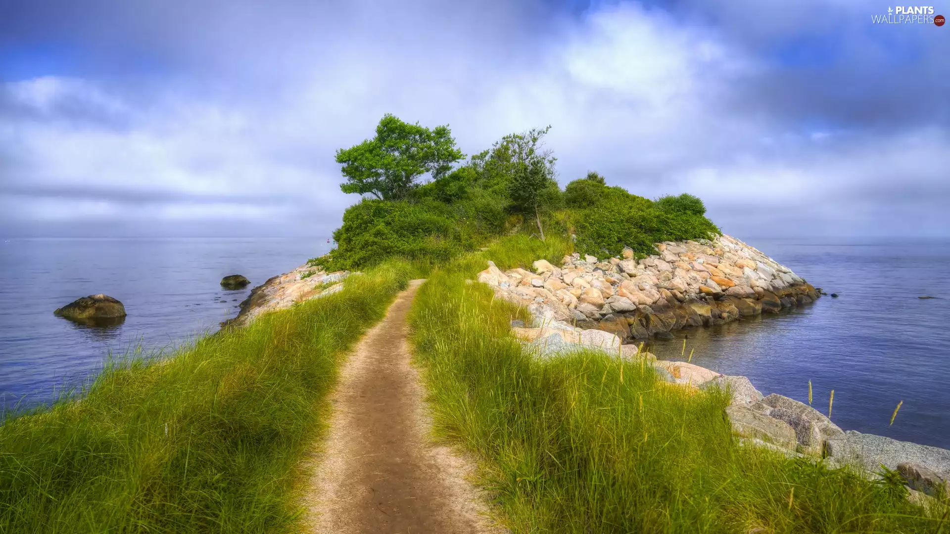 trees, sea, grass, Path, viewes, promontory