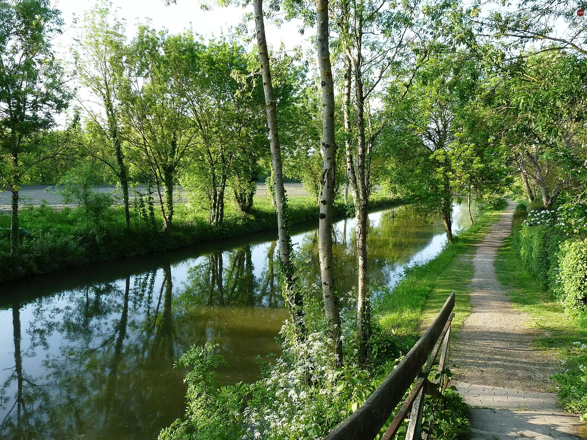 River, trees, viewes, Path