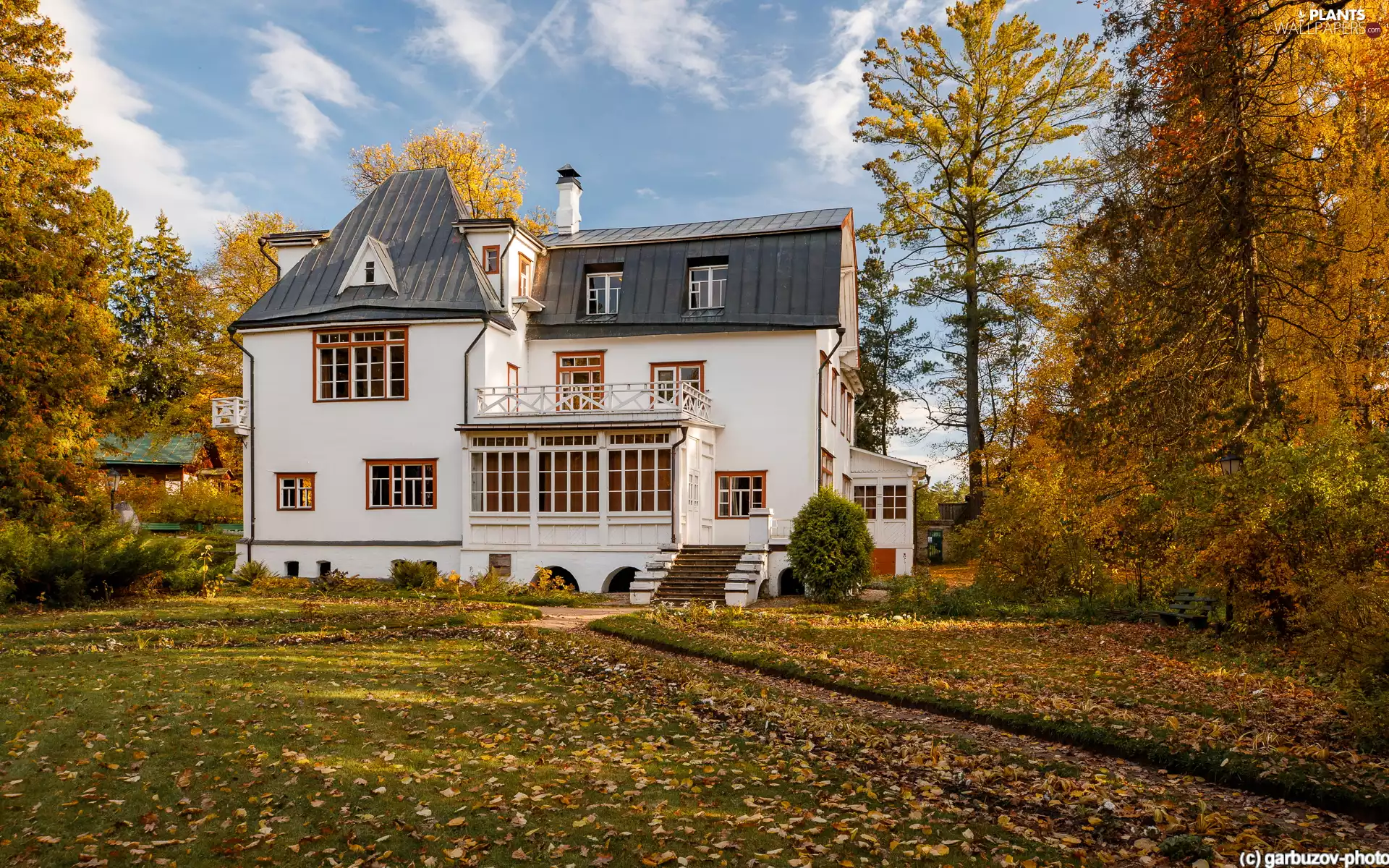 Autumn, house, viewes, Path, White, trees, autumn