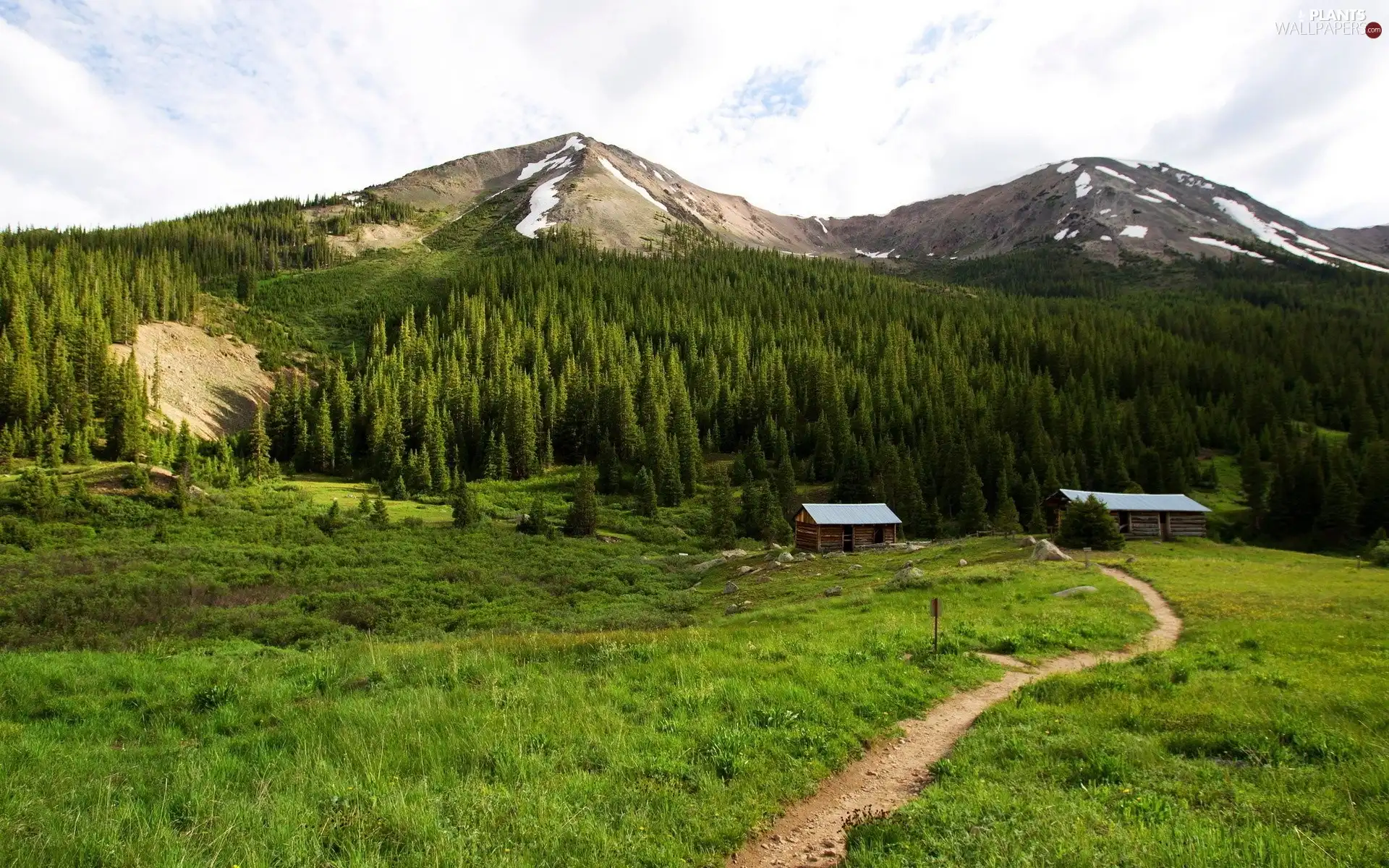 Path, Mountains, woods