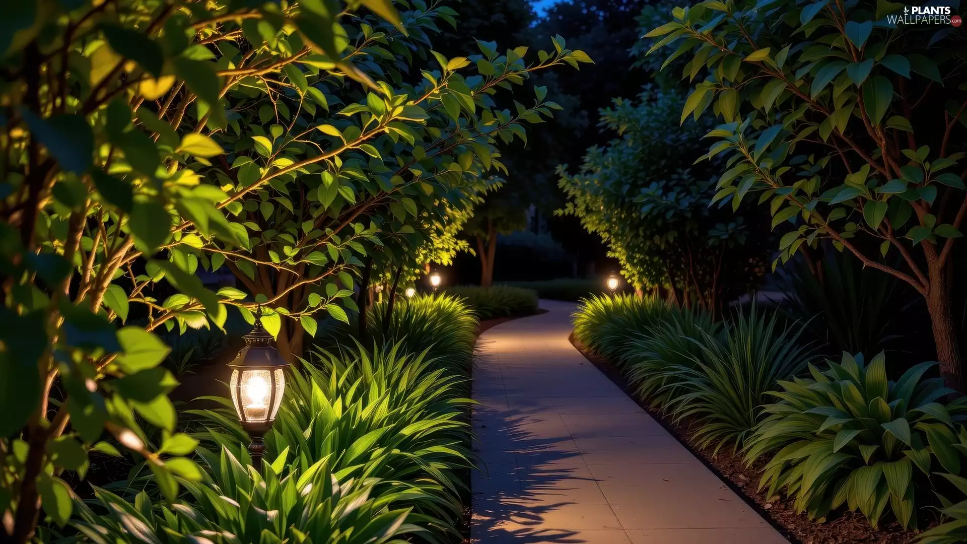 viewes, Garden, lanterns, Pavement, Plants, trees