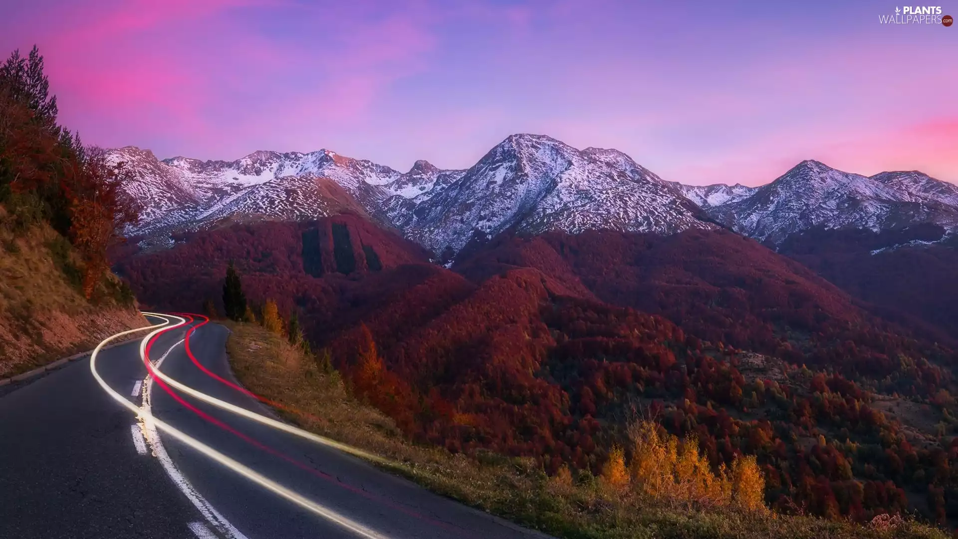 Way, Snowy, trees, peaks, Mountains, Autumn, viewes
