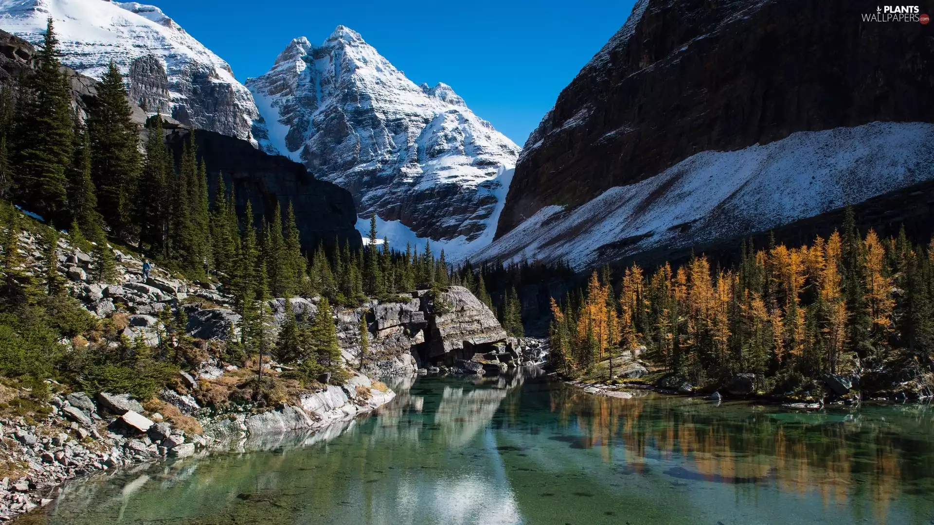 rocks, Snowy, trees, peaks, Mountains, lake, viewes
