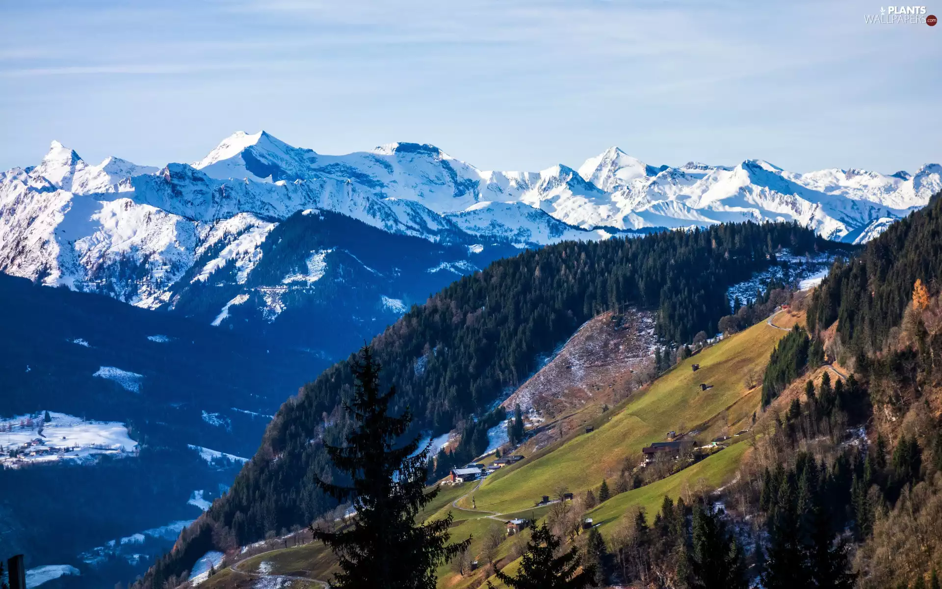 woods, Snowy, viewes, peaks, Mountains, trees, Houses
