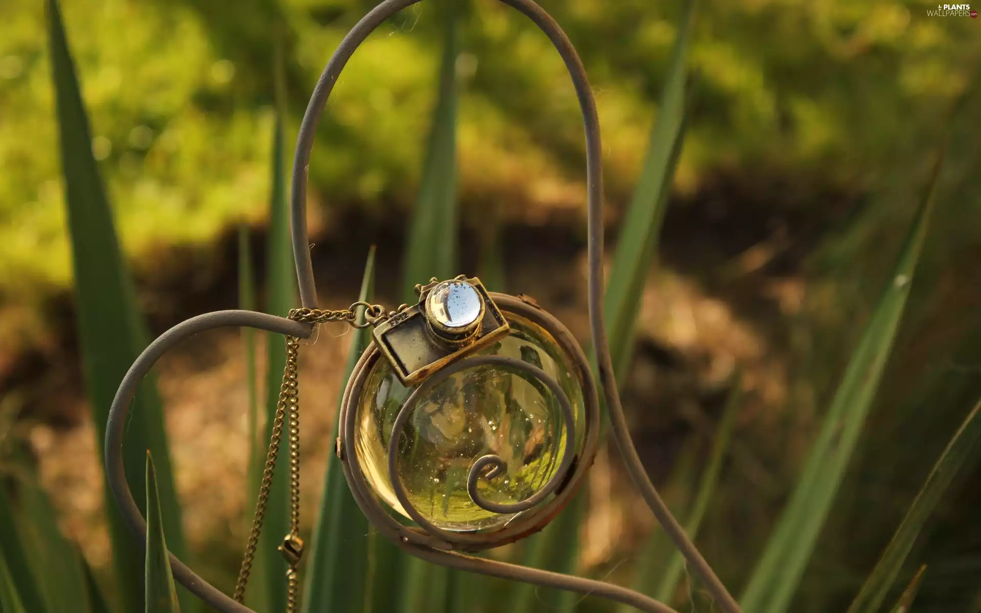 pendant, grass