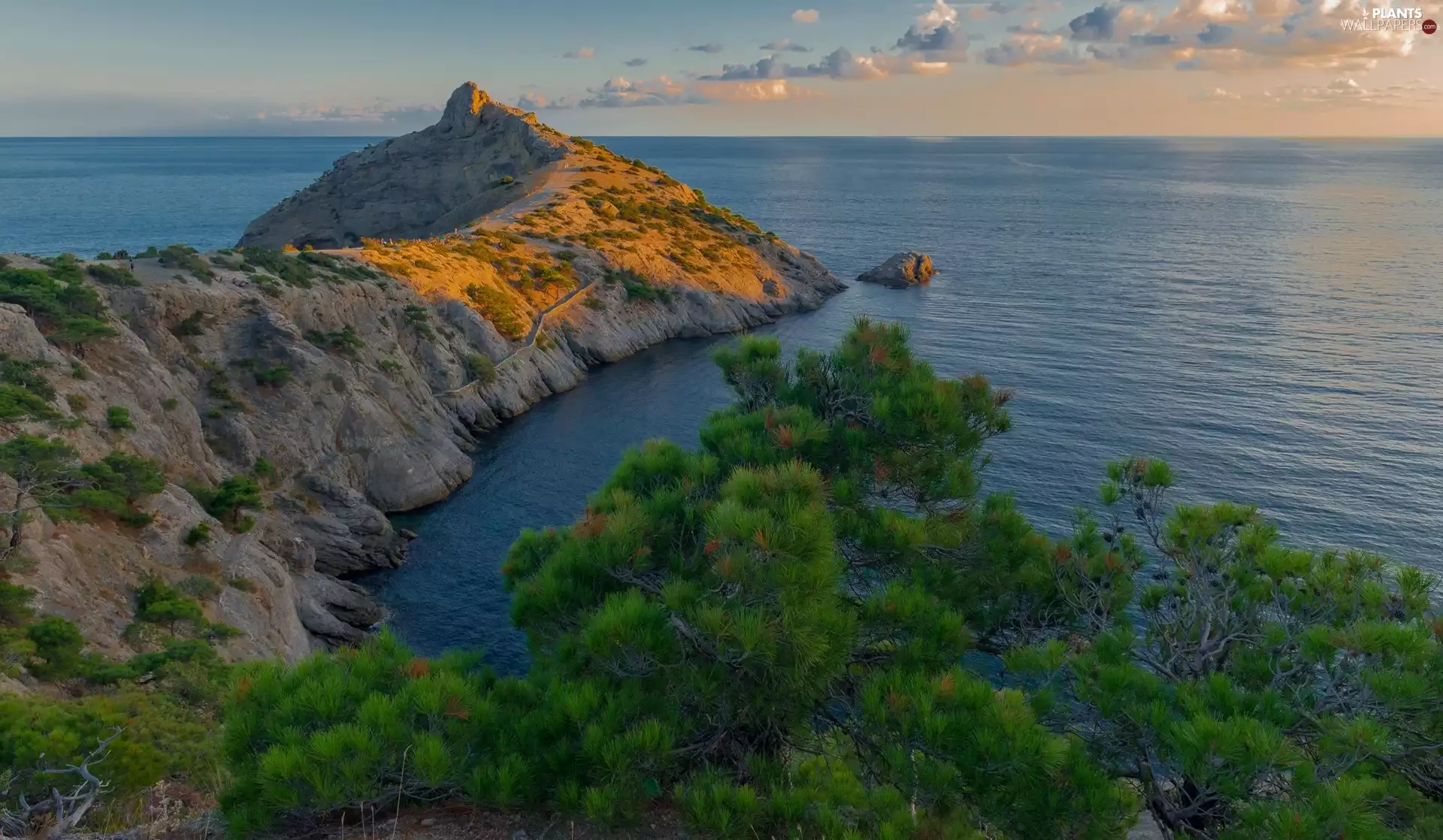 viewes, peninsula, rocks, trees, sea