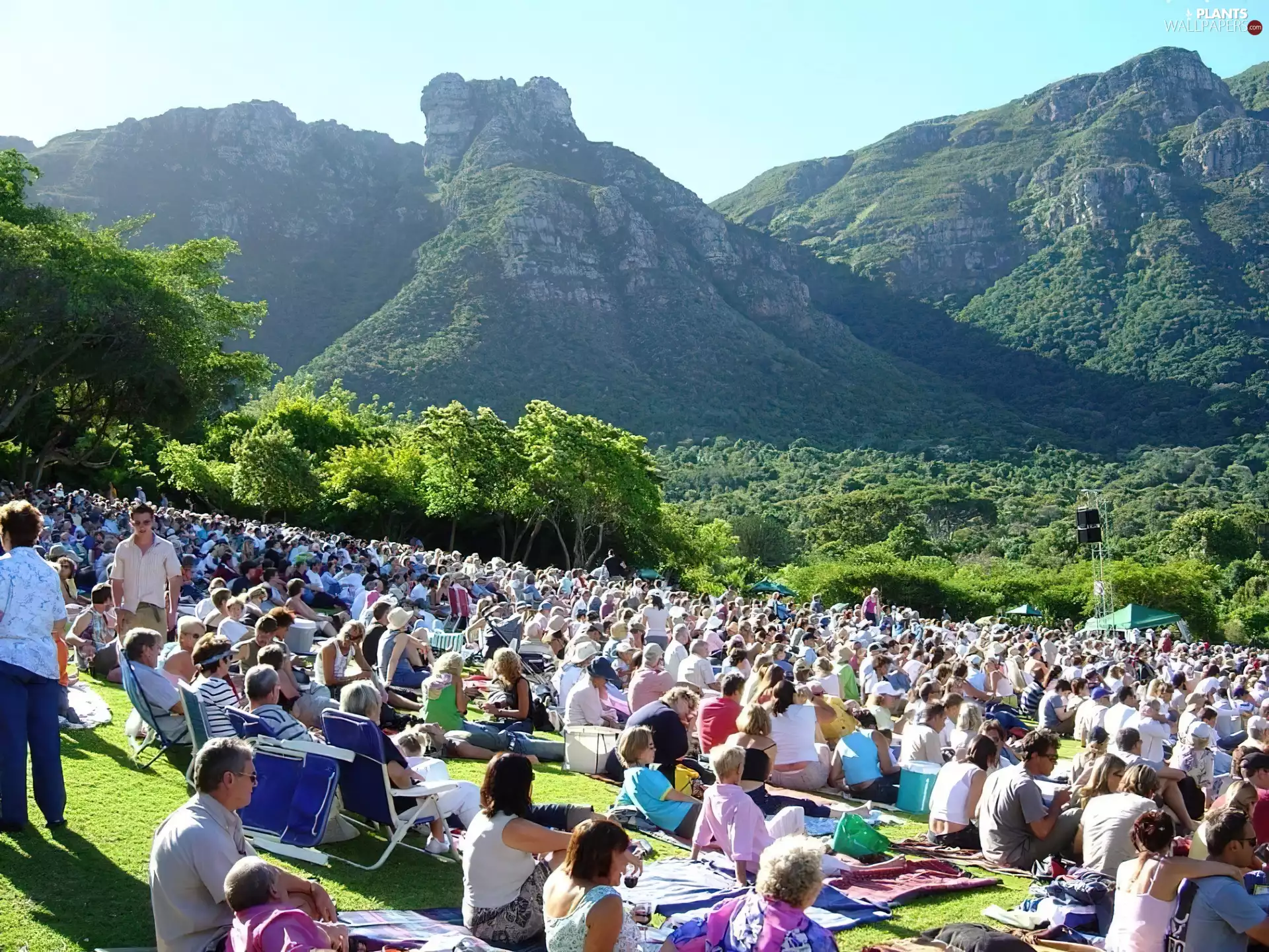 Bush, People, summer, trees, Mountains