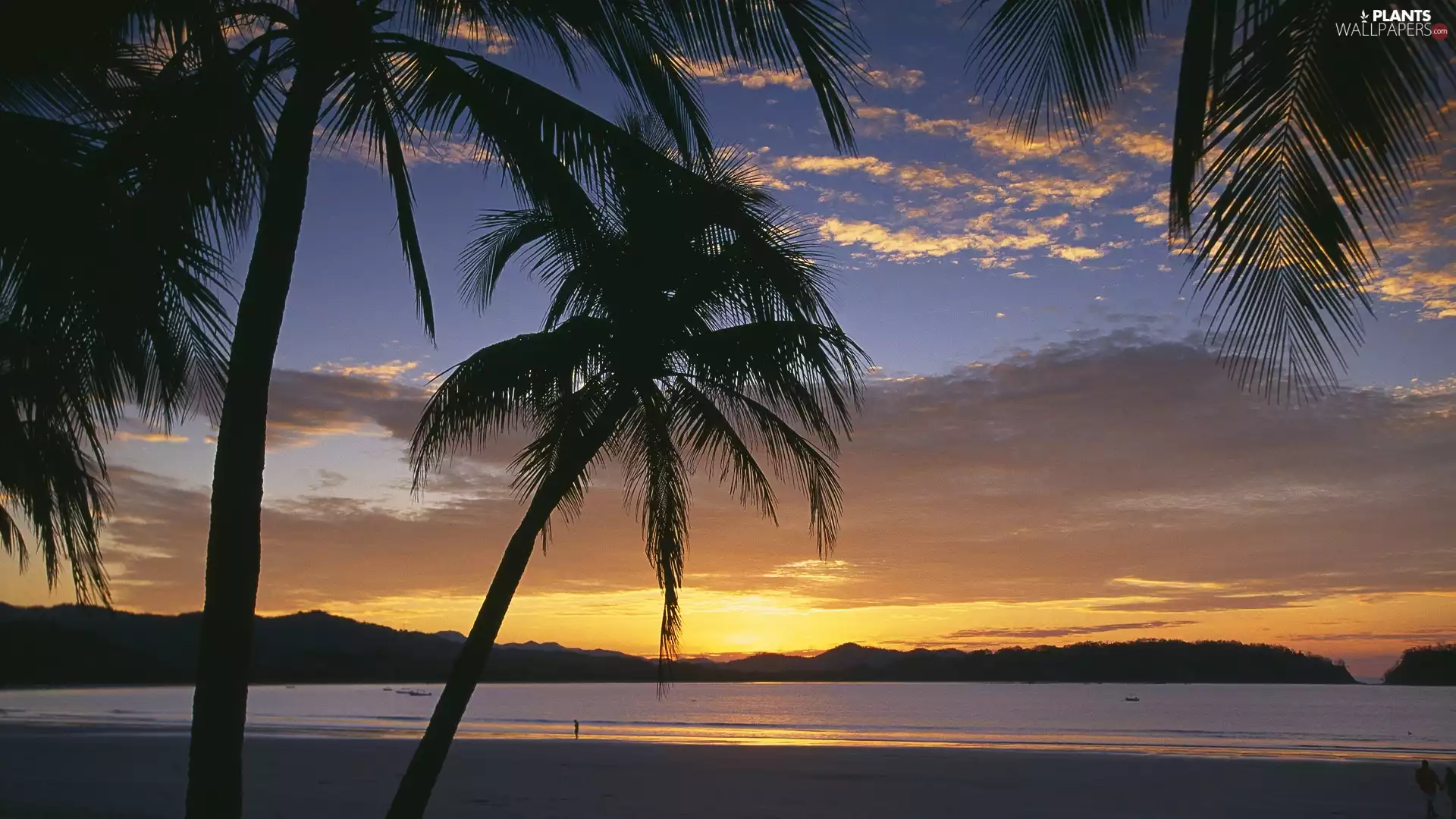 Mountains, Beaches, sun, People, Palms, west, sea