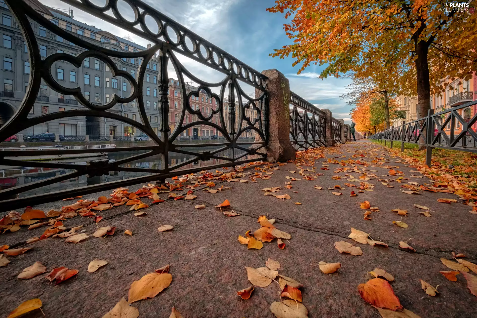 Houses, Town, Street, railing, viewes, Russia, Leaf, autumn, St. Petersburg, fallen, trees