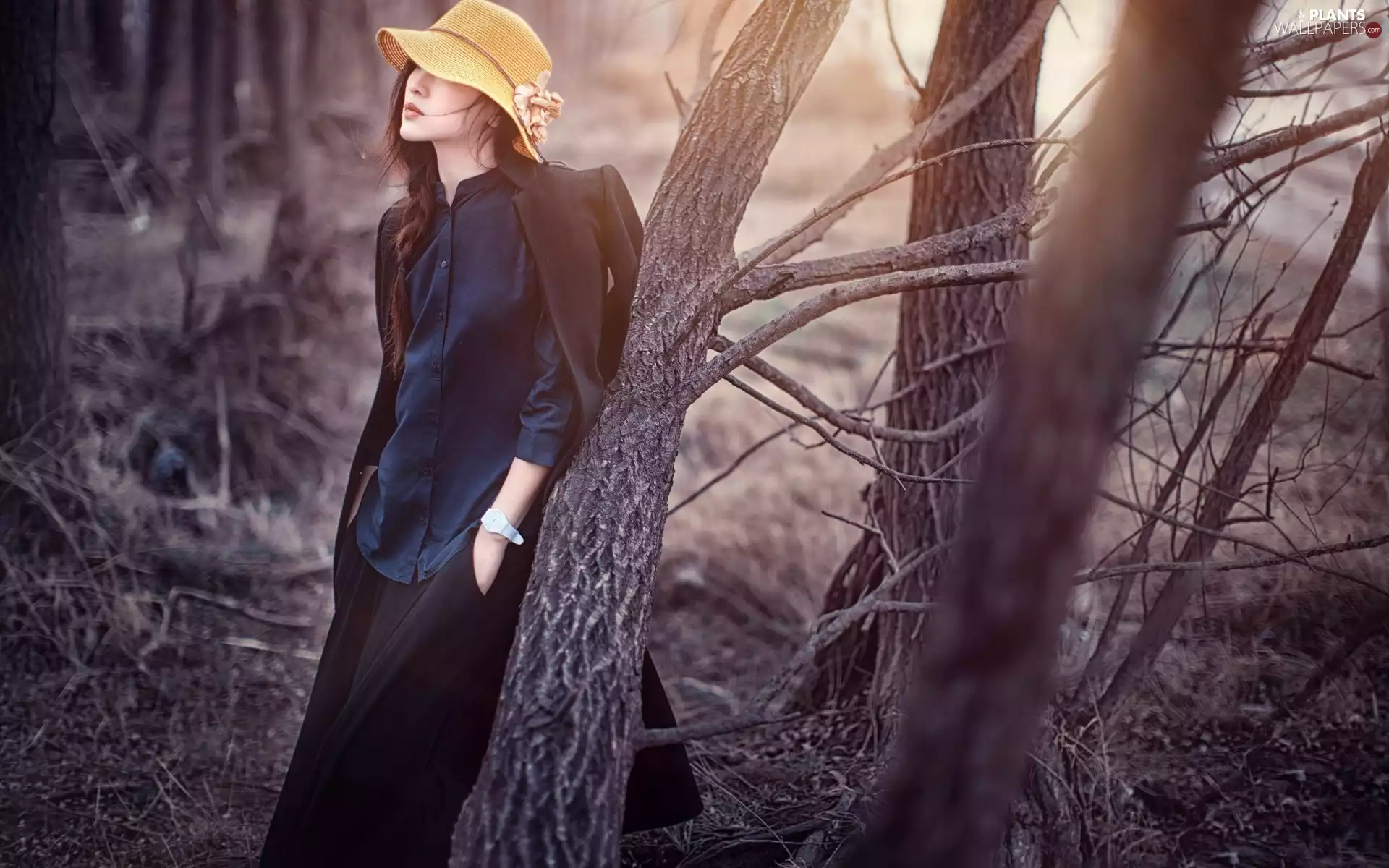 session, photoshoot, Hat, forest, model
