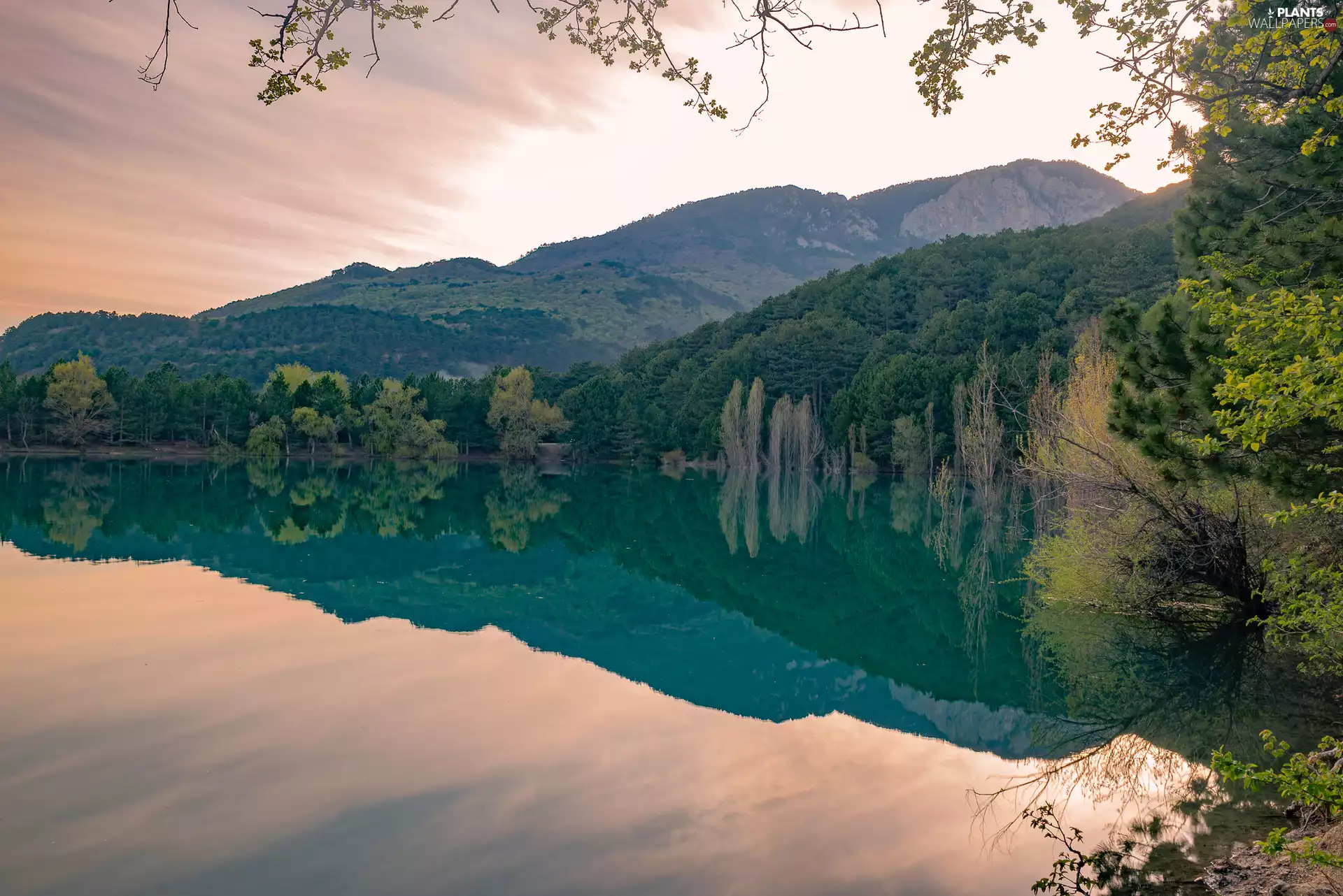 trees, Mountains, branch pics, reflection, viewes, lake