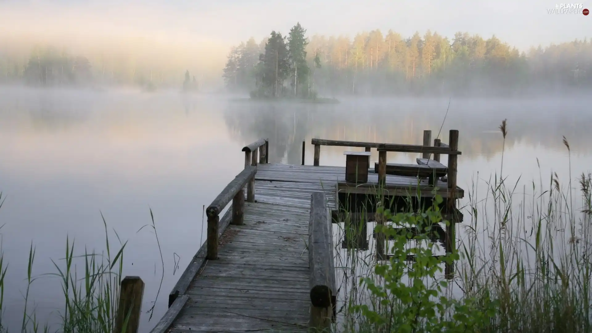 pier, grass, Fog, wood, lake