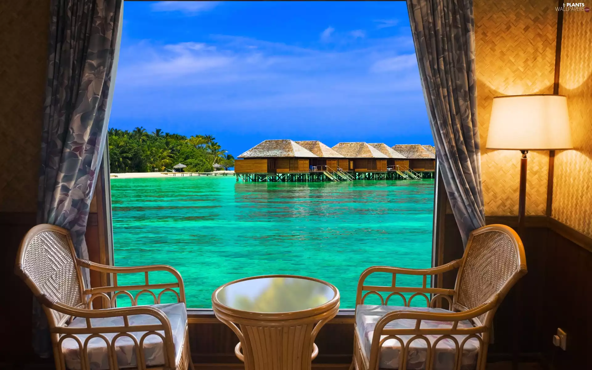 interior, an, Palms, piles, Houses, sea, Tropical