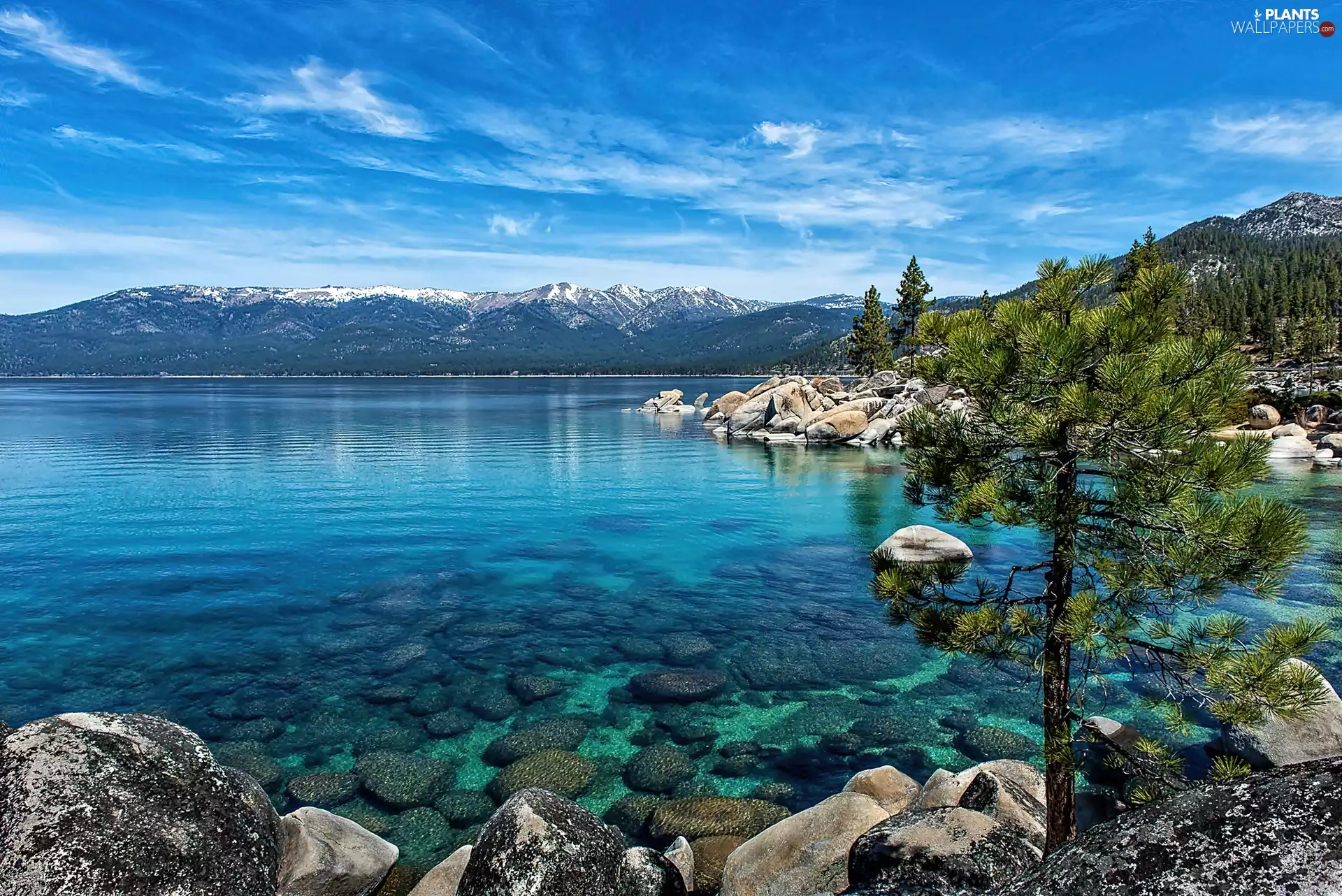 lake, Nevada, Stones, pine, Tahoe, Mountains