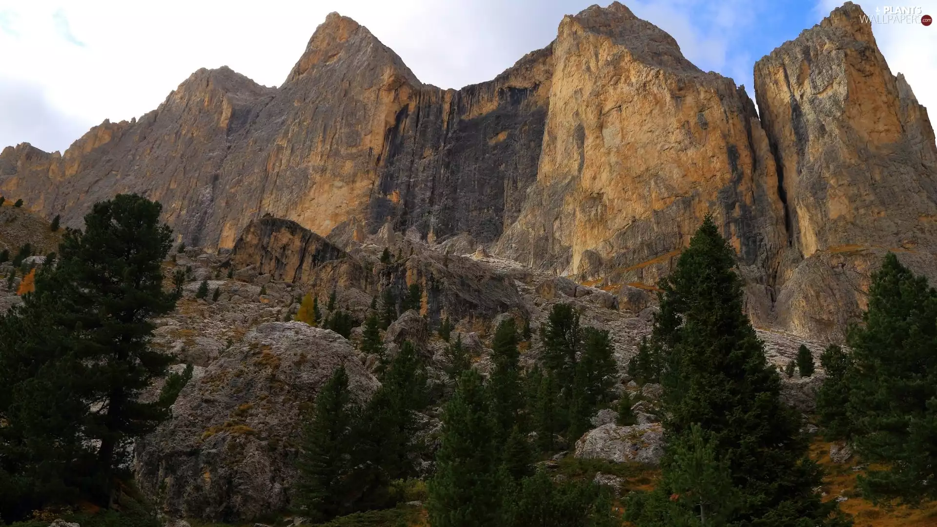 viewes, pine, rocks, trees, Mountains