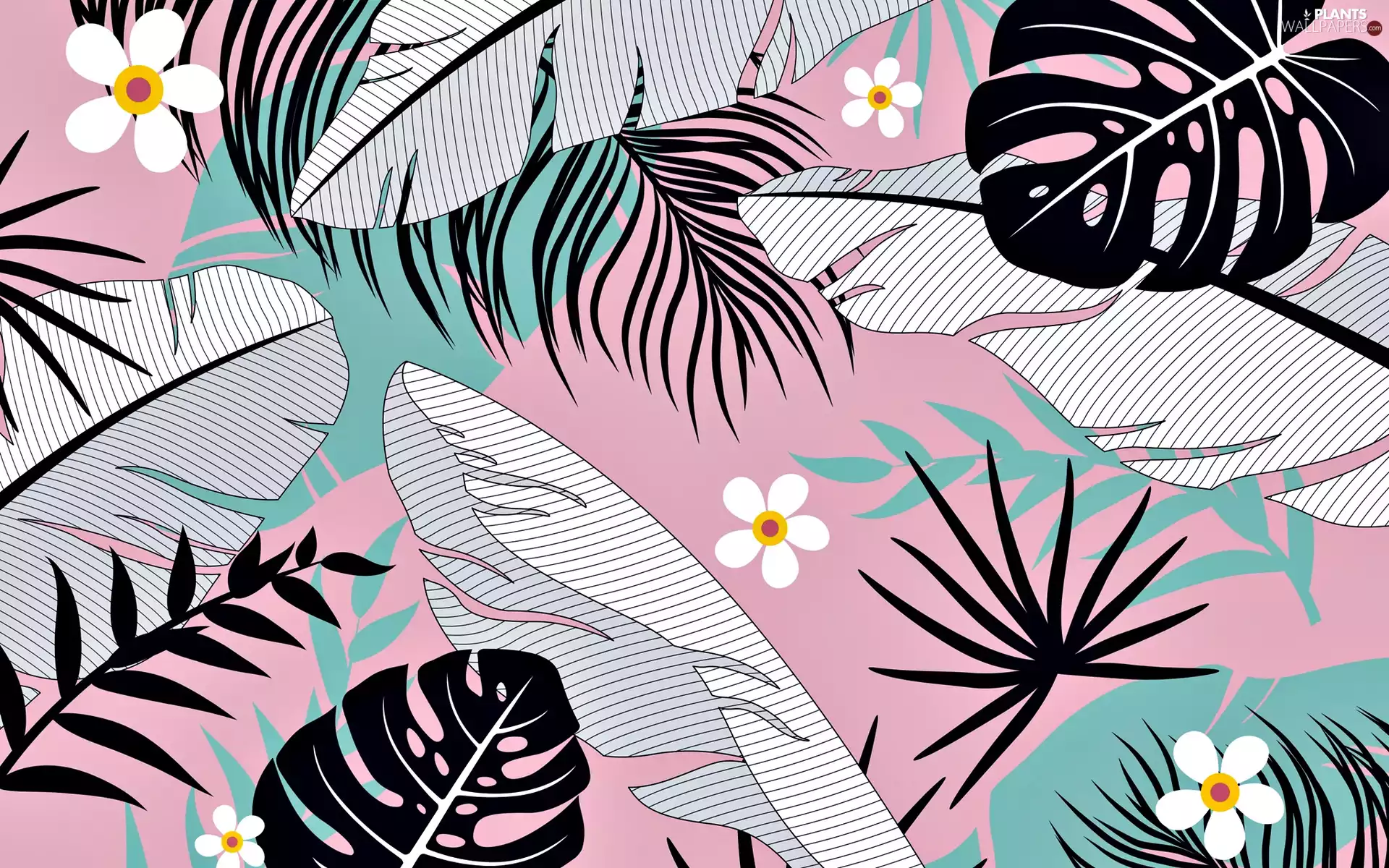 Leaf, Pink Background, graphics, Flowers