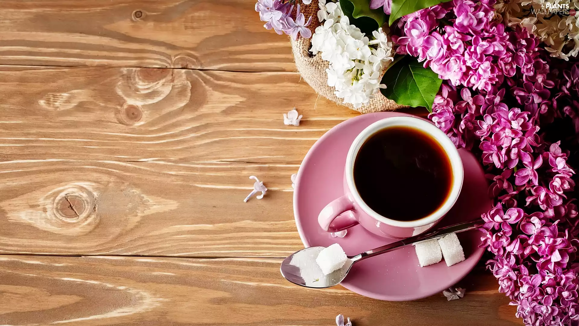 Pink, cup, boarding, coffee, sugar, without, Colourfull Flowers, knuckle