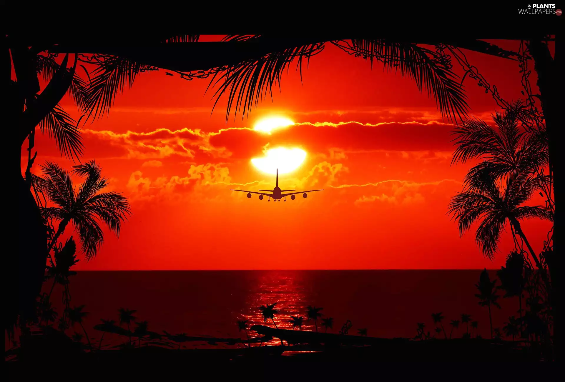 Palms, plane, sun, sea, west