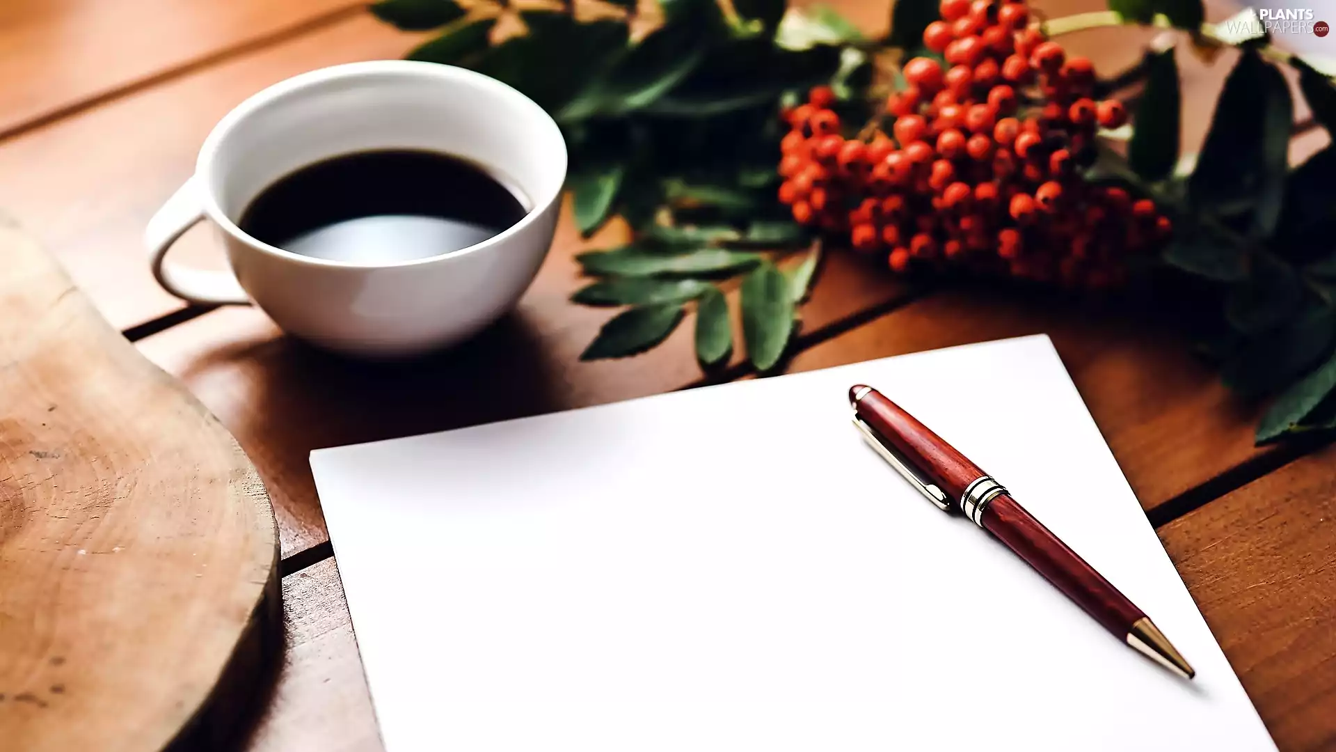 pen, Plant, cup, card, coffee
