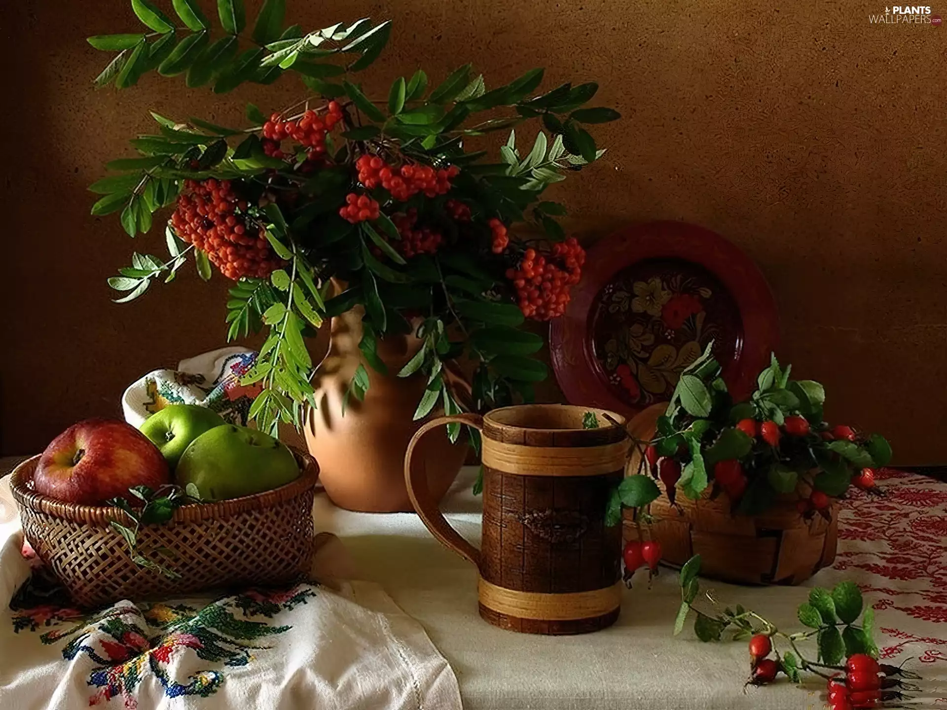 Plant, apples, dishes