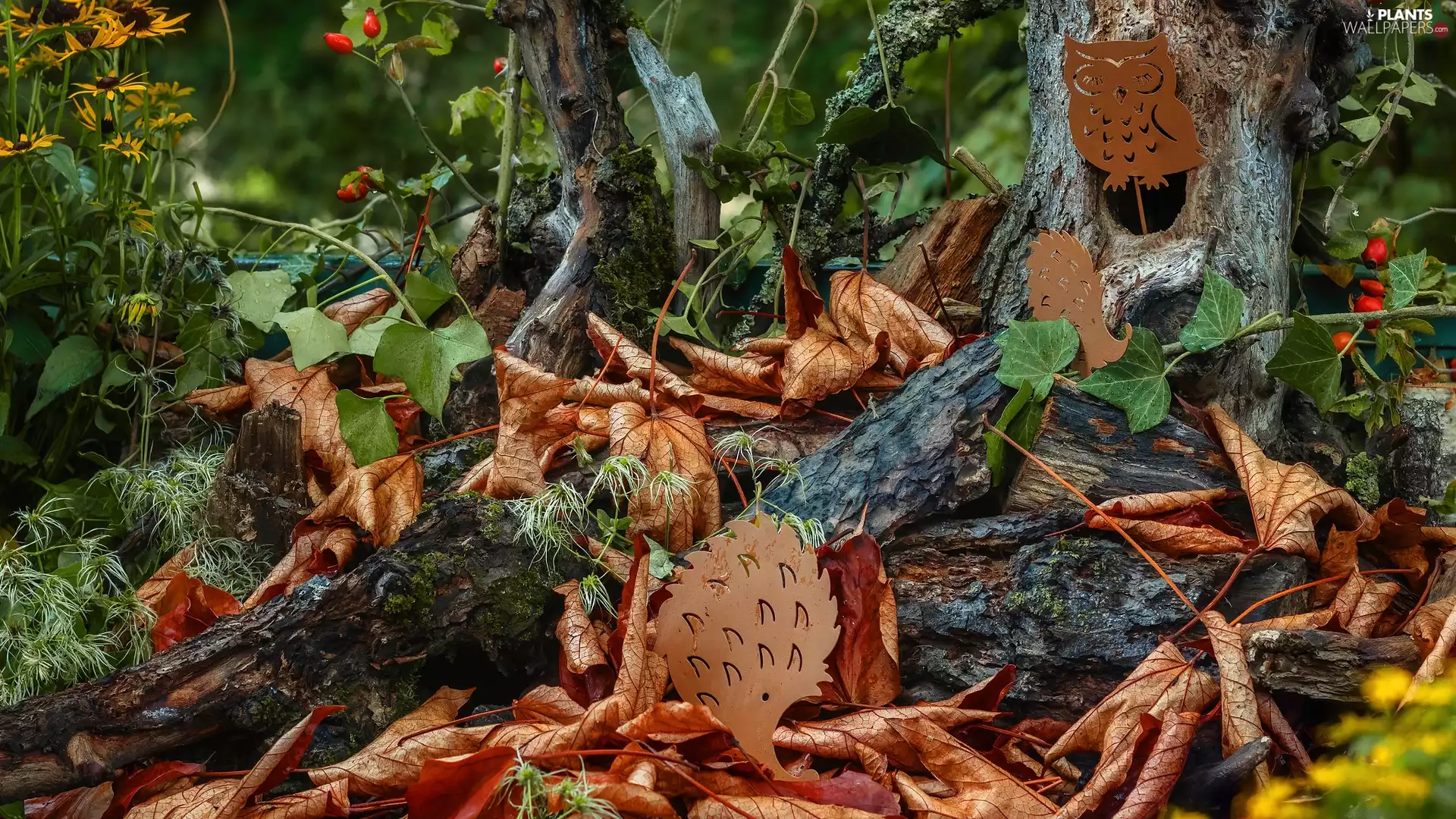 figures, Leaf, hedgehog, Plants, trees, decor, owl