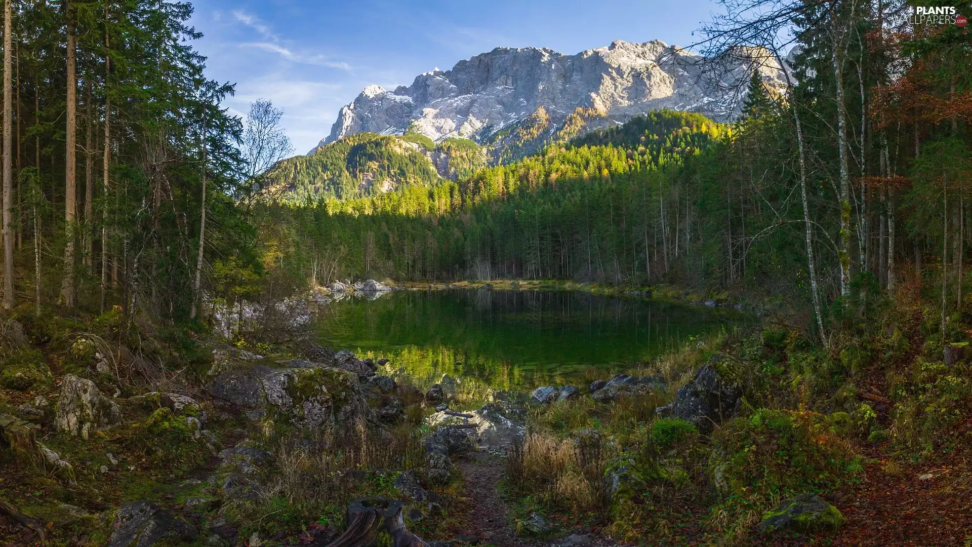 trees, Mountains, rocks, Plants, viewes, lake