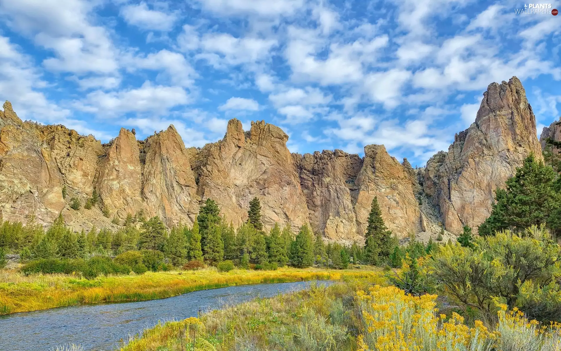 River, Mountains, viewes, Plants, trees, rocks