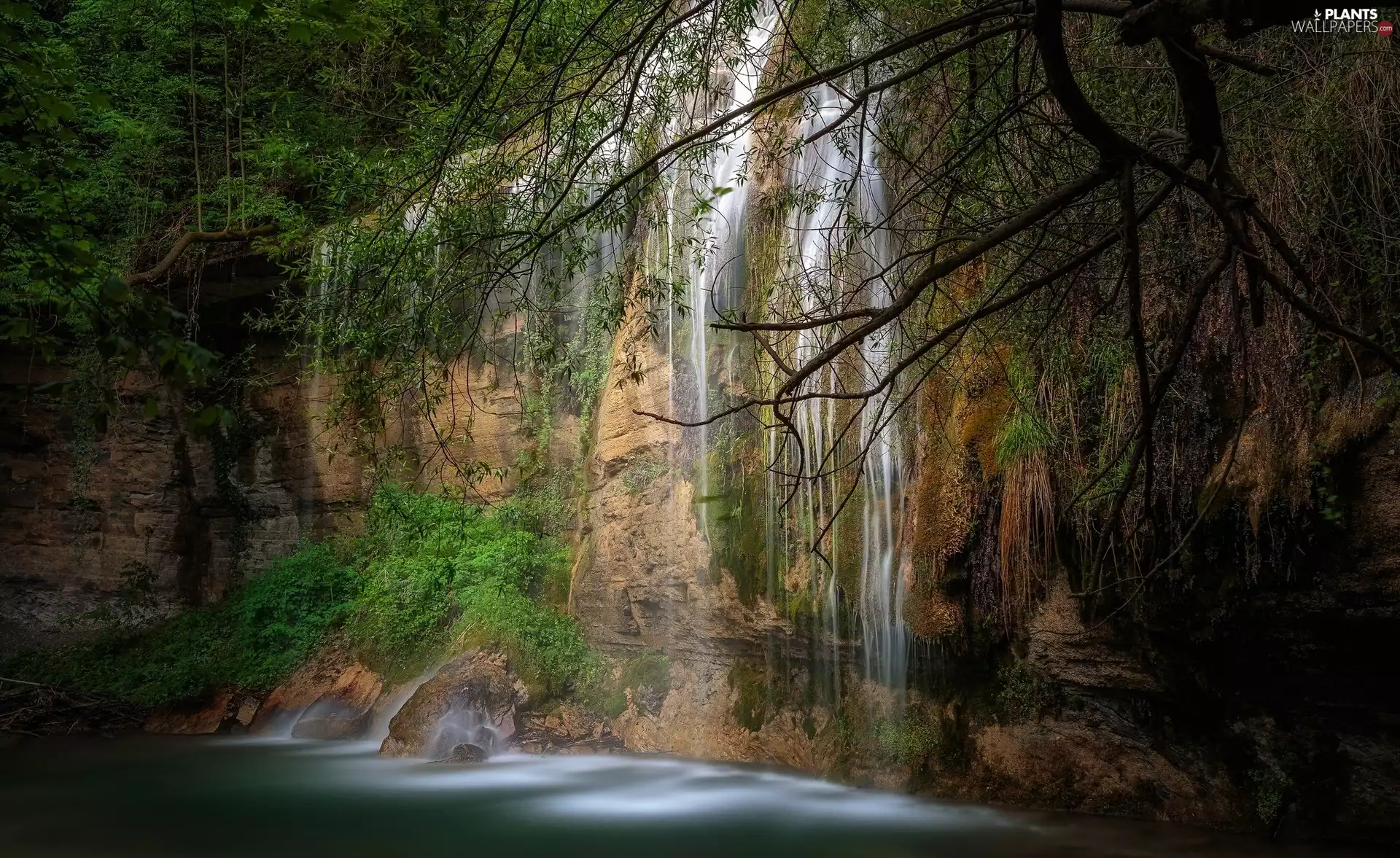 viewes, Plants, rocks, trees, waterfall