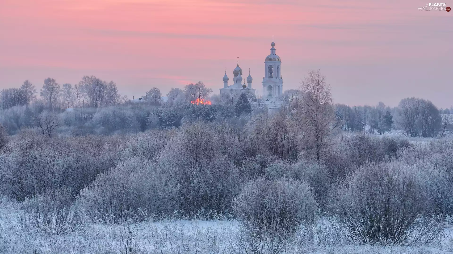 Plants, winter, frosty, Cerkiew, trees, viewes, Russia, Bush, Duilovo