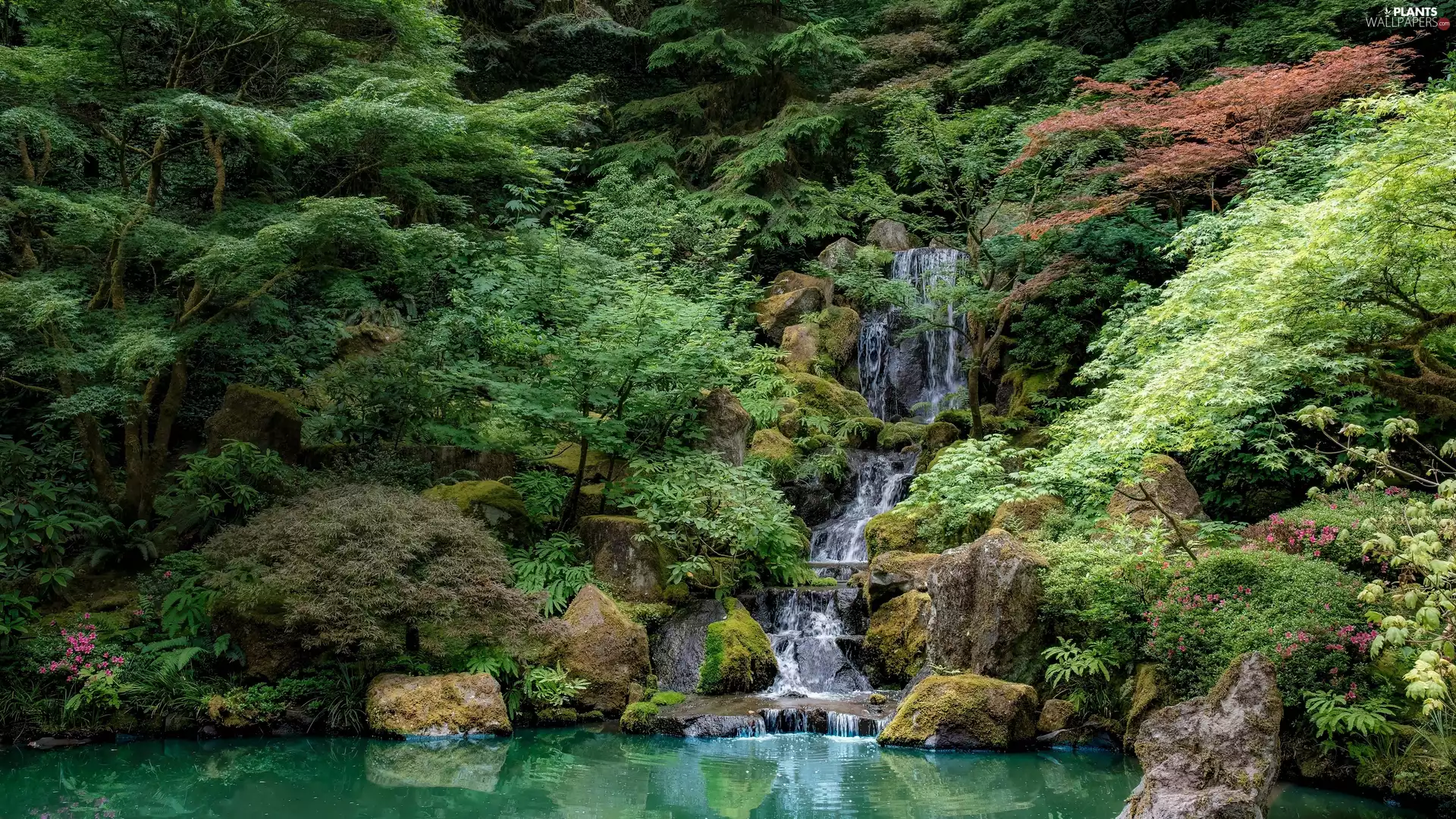 Stones, waterfall, viewes, Plants, trees, stream