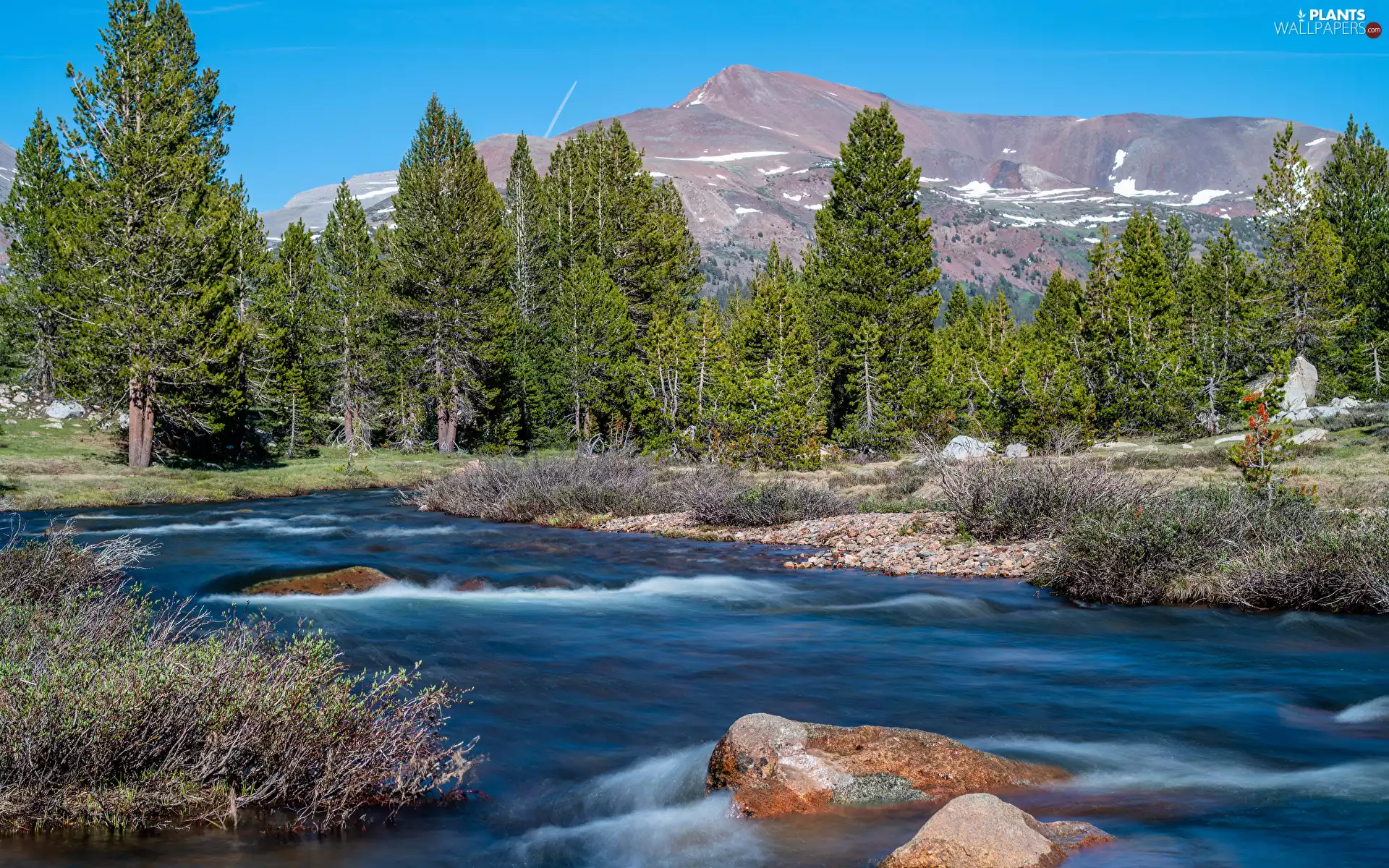 viewes, Mountains, Stones, Plants, River, trees