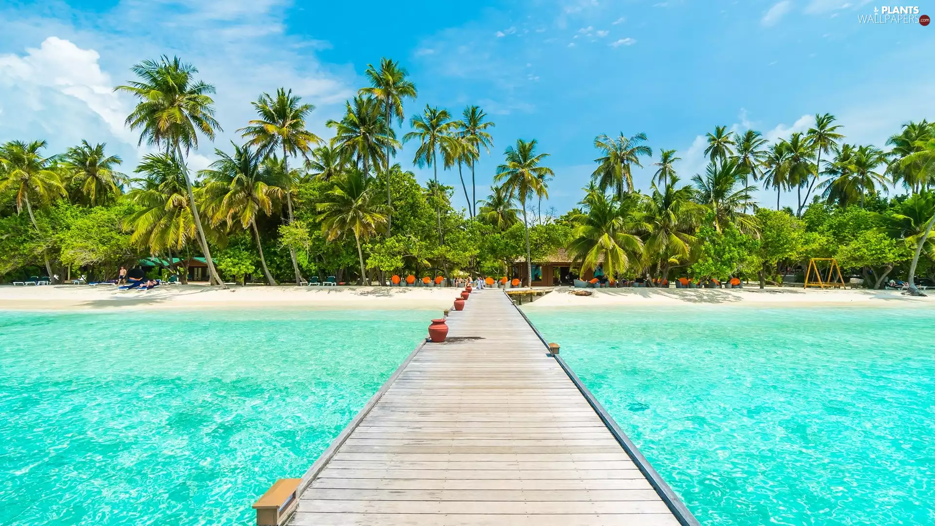 Palms, Platform, coast, Beaches, sea