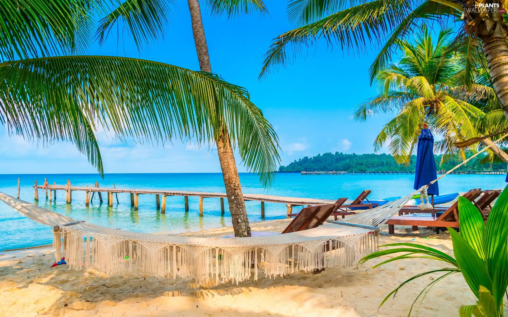 Palms, sea, Hammock, Platform, deck chair, Beaches