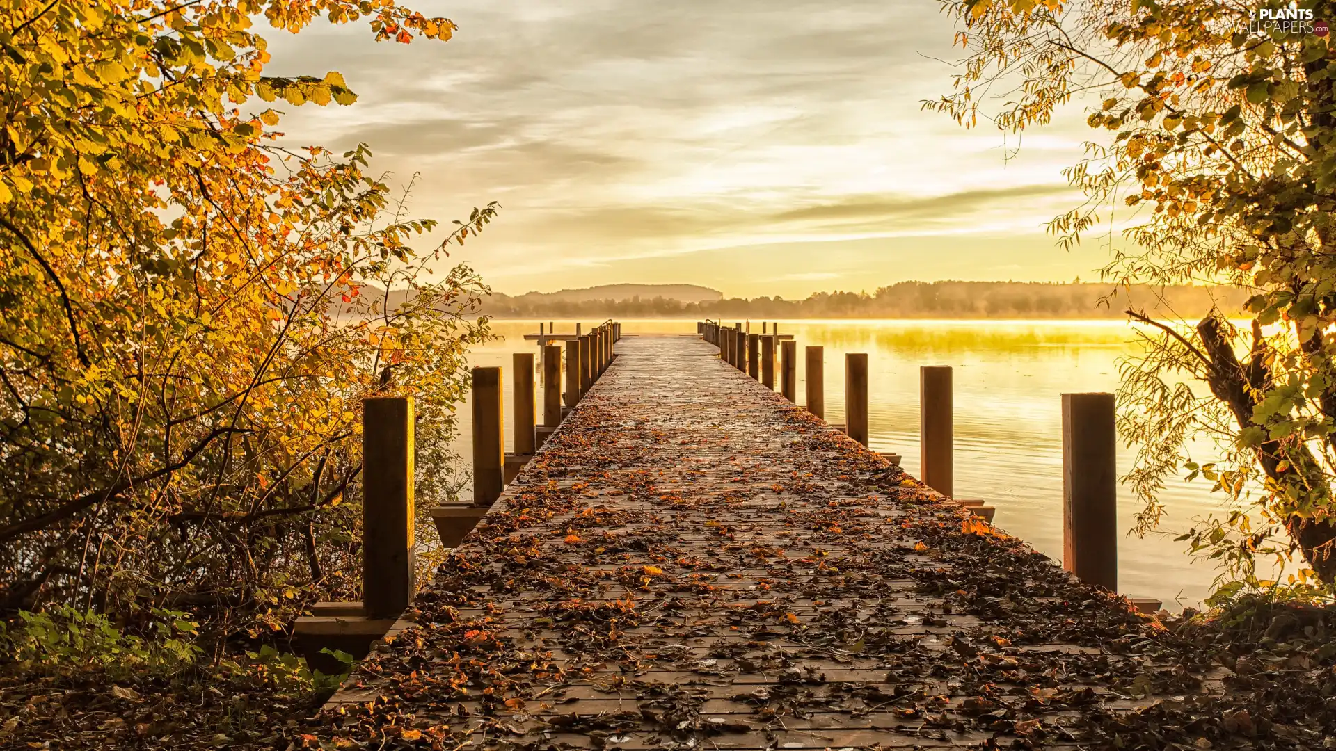 Leaf, lake, viewes, Platform, autumn, trees, Sunrise