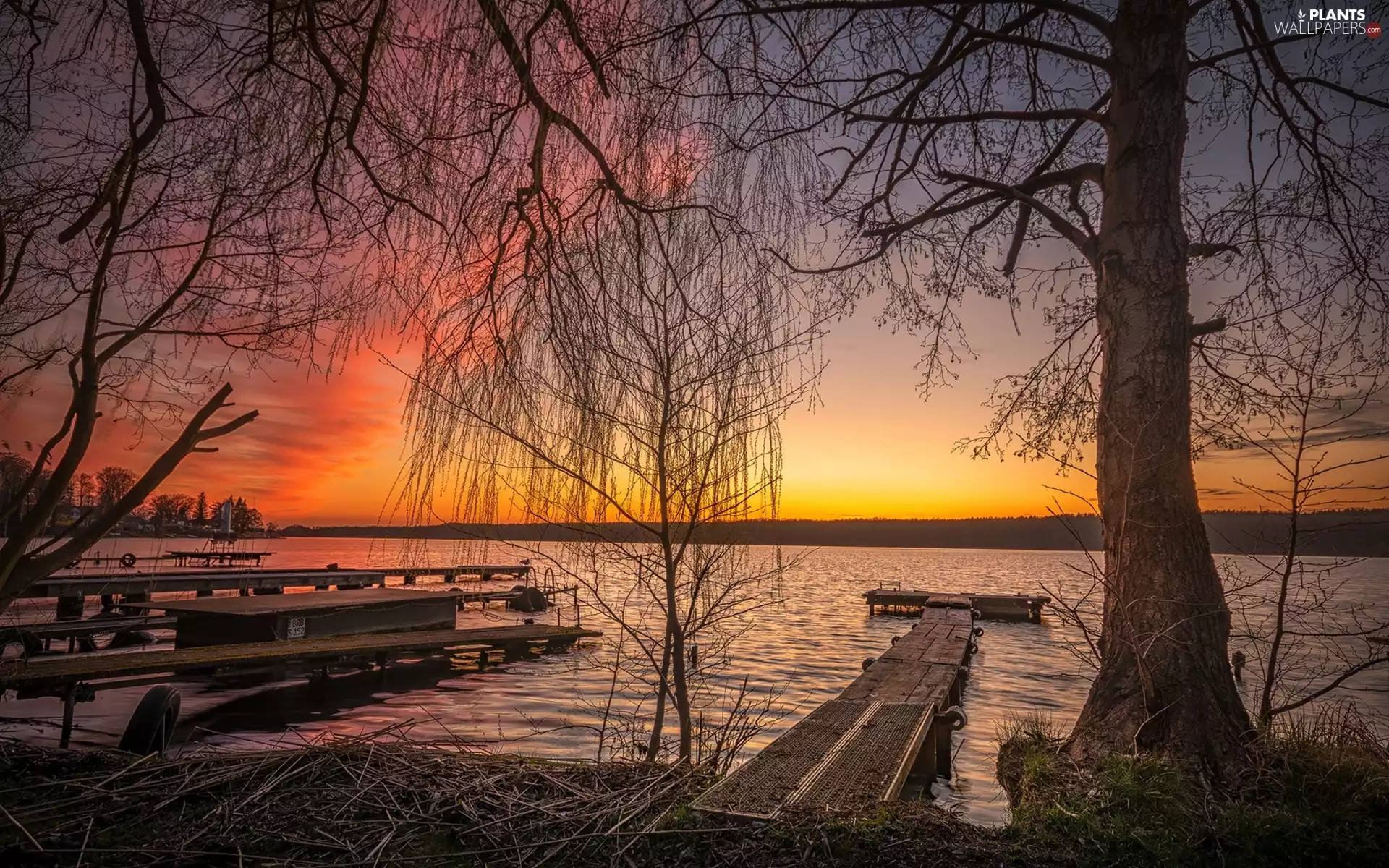 viewes, Great Sunsets, Platforms, trees, lake